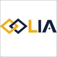 LINKITALL LLC (LIA)