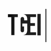 Tomerro Group Enterprises Inc Tomerro Group Enterprises Inc