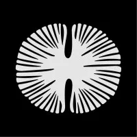 Natural Tech House