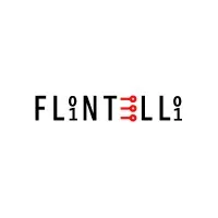 Flintelli Technologies