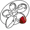 Australian Regenerative Medicine Institute - ARMI Australian Regenerative Medicine Institute - ARMI