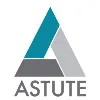 Astute Business Solutions