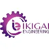 Ikigai Engineering