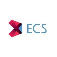 ECS - Empowered Company Strategy