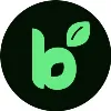 Basil Basil
