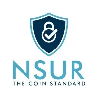 NSUR, Inc
