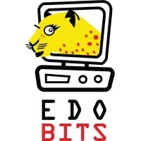EdoBits ICT Academy