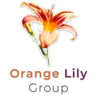 Orange Lily Group Orange Lily Group