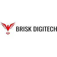 Brisk Digitech Brisk Digitech