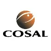 Cosal S.A. Cosal S.A.