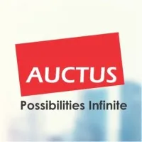Auctus Consulting