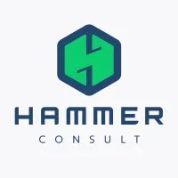Hammer - Consult