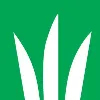 DLF North America DLF North America