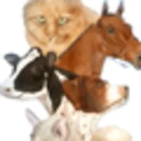 Clearview Animal Hospital