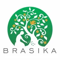 Brasika Consulting (Pty) Ltd