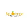 Big Orange Consulting Big Orange Consulting