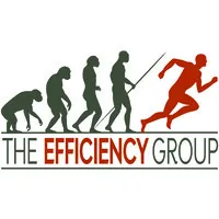 The Efficiency Group LLC