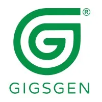 Gigsgen Digital Innovations