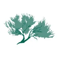 Sage Forensic Accounting, Inc.