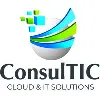 ConsulTIC ConsulTIC
