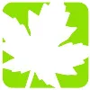 Acer Landscape Management LLC