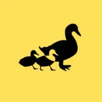 Follow Agency