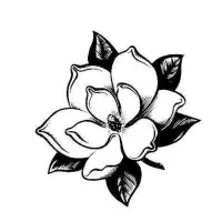 Magnolia Gardens Nursery