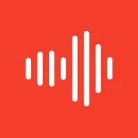 ROI Amplified ROI Amplified