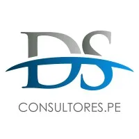 DS CONSULTORES.PE