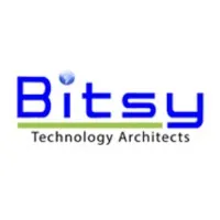 Bitsy Infotech Pvt. Ltd.