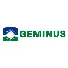 Geminus Geminus