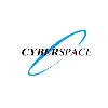 Cyberspace Group Cyberspace Group