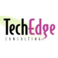 TechEdge Consulting