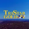 TriStar Gold Inc. TriStar Gold Inc.