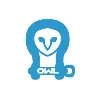 Owl Vans Owl Vans