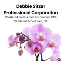 Debbie Sitzer Professional Corporation CPA, CA