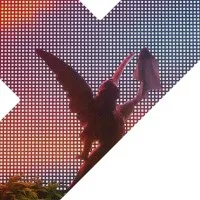 Y Partners