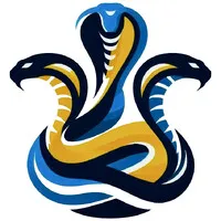 COBRAS Solutions
