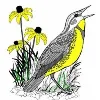 Meadowlark Garden