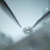 P.T.Diamonds Inc.