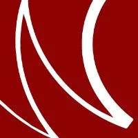 Wisconsin Consulting Club