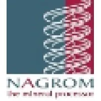 Nagrom the Mineral Processor