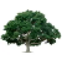 ABC Tree Service