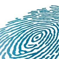 Site Image Landscape Architects & Public Art Consultants Site Image Landscape Architects & Public Art Consultants