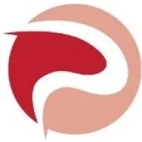 Plyse Professional Services