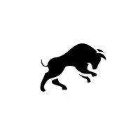 UFPE Finance - Liga de Mercado Financeiro