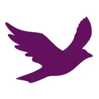 Vitric Advisors
