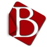 BANik Management Consulting Group