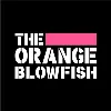 The Orangeblowfish The Orangeblowfish