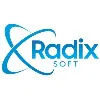 RadixSoft Inc RadixSoft Inc